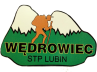 Logo Stowarzyszenie Turystyki Pieszej "Wędrowiec"