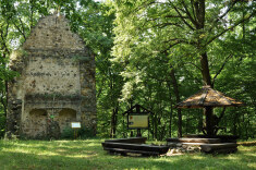Ruiny zamku w Rokitnicy