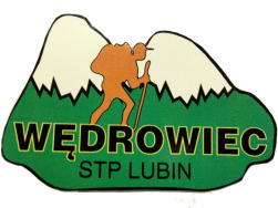 Dzikowiec (836 m) - wieża widokowa