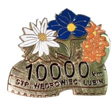 odznaka 10 000km
